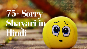 Sorry Shayari in Hindi